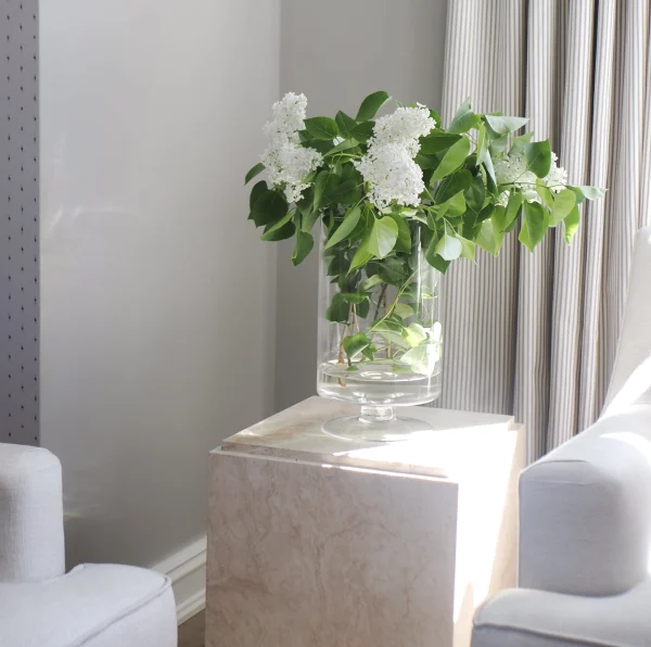 Pic_49_of_67 cropped